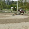 Babie Lato 2016
